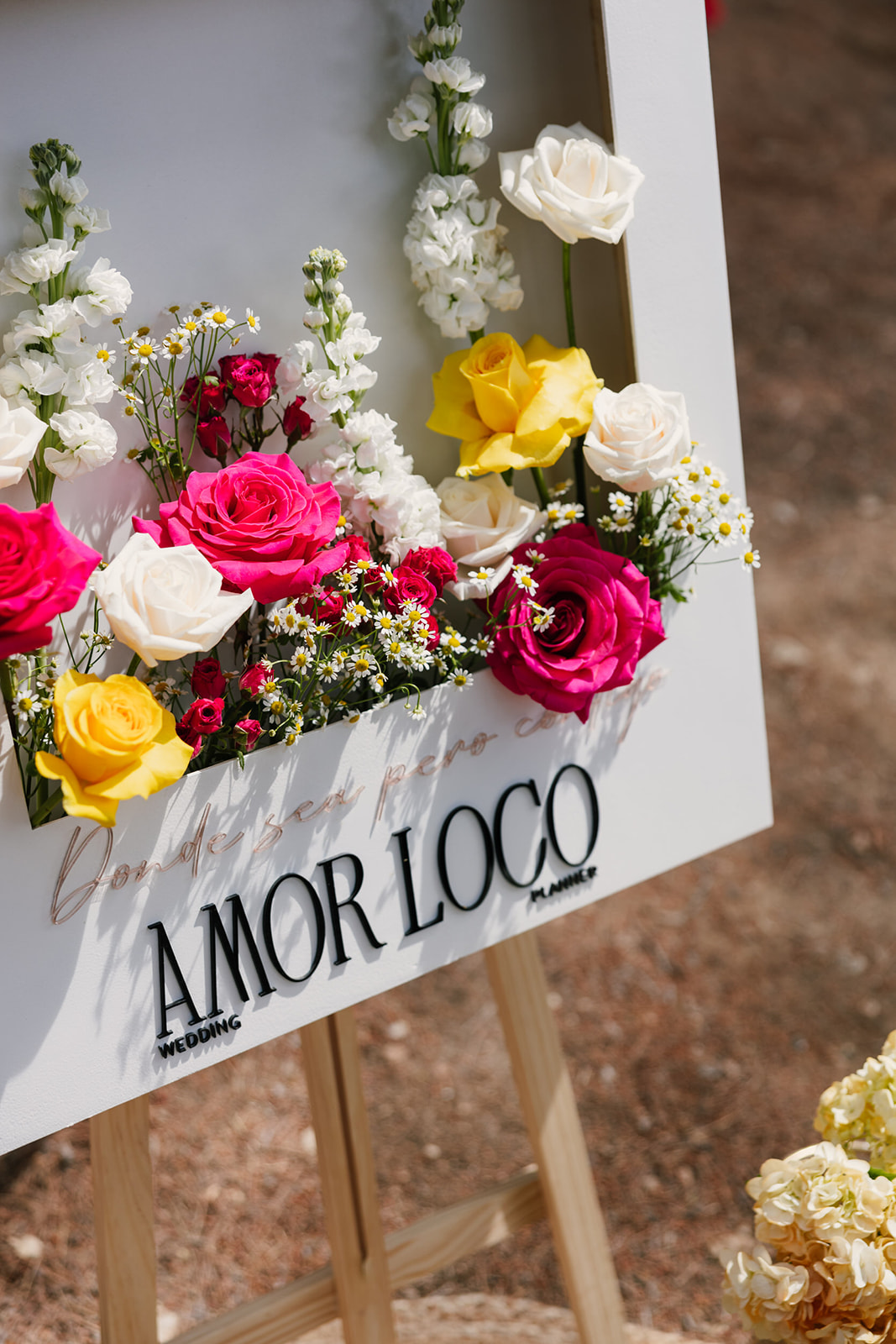 La Boda de Maria y Alex