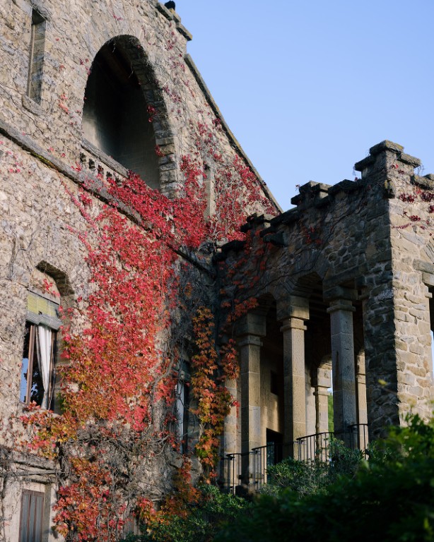 Sophie Y Markus STMI7564 Websize